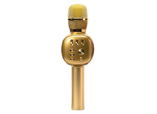 Караоке-микрофон Charge K310 (Gold)