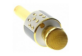 Караоке-микрофон WSTER WS858 (Gold)
